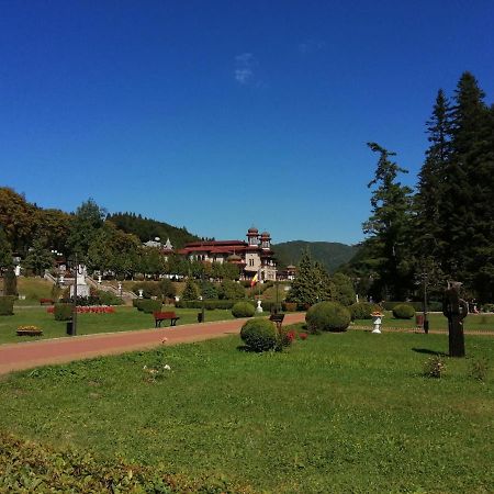 Apartamentul Alfa Slănic-Moldova Exteriér fotografie