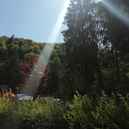 Apartamentul Alfa Slănic-Moldova Exteriér fotografie