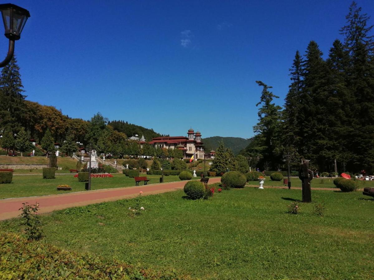 Apartamentul Alfa Slănic-Moldova Exteriér fotografie