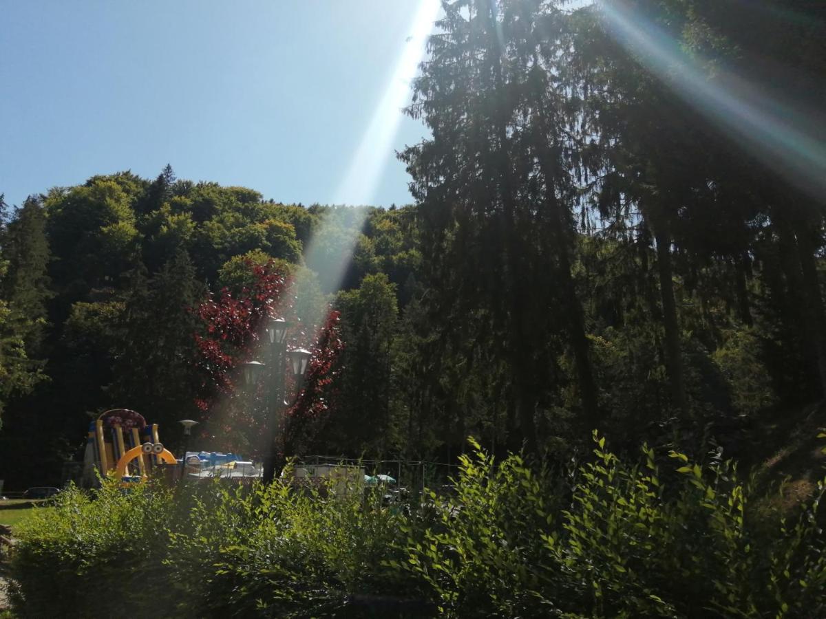 Apartamentul Alfa Slănic-Moldova Exteriér fotografie