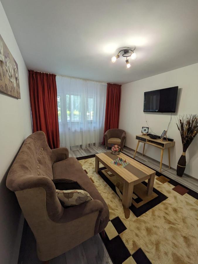 Apartamentul Alfa Slănic-Moldova Exteriér fotografie