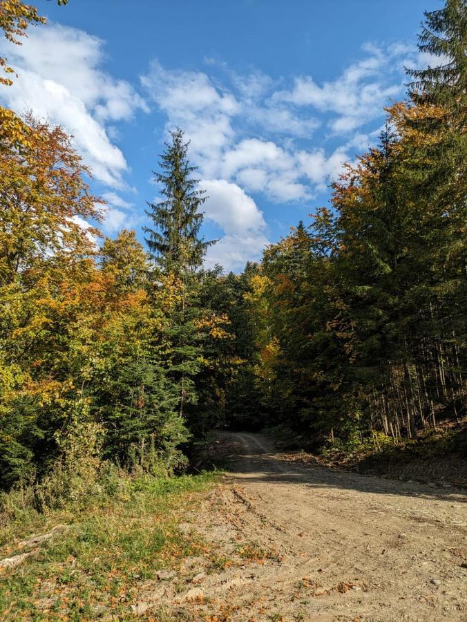 Apartamentul Alfa Slănic-Moldova Exteriér fotografie