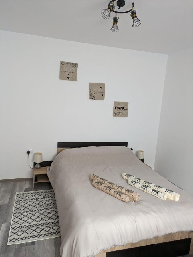 Apartamentul Alfa Slănic-Moldova Exteriér fotografie